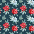 Christmas seamless pattern, watercolor illustration. spruce branches, poinsettia