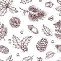 Christmas seamless pattern. Winter fir and pine branches with pine cones. Vintage vector wallpaper in traditional