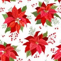 Christmas seamless pattern with Winter flower, Poinsettia, Mistletoe, branches of Rowan tree with Berries