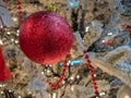 Christmas season 2019. Red shiny decorative ball and red pearls on a Christmas tree covered in snow and cozy yellow lights in the Royalty Free Stock Photo