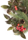 Christmas seasonal border of holly, mistletoe, Royalty Free Stock Photo