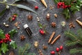 Christmas selection of essential oils with myrrh, frankincense, wintergreen, holly and other herbs and spices Royalty Free Stock Photo