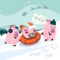 Christmas set of cute little pigs. New Year symbol. Vector illustration of a pig-a symbol of the Chinese new 2019. Funny angry yel Royalty Free Stock Photo