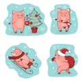 Christmas set of cute little pigs. New Year symbol Royalty Free Stock Photo