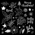 Christmas set of elements with mistletoe, noel, snowflackes, leaves Royalty Free Stock Photo