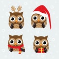 Christmas set with owls