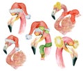 Christmas set with pink flamingo with winter decorations, watercolor illustration Royalty Free Stock Photo