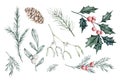 Christmas Set of snowberry, eucalyptus, spruce branch, rosemary twig, Mistletoe, dusty Miller, pine cone, ilex, holly