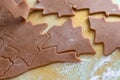 Christmas shaped gingerbread cookie from the raw dough before baking. Royalty Free Stock Photo