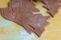 Christmas shaped gingerbread cookie from the raw dough before baking. Royalty Free Stock Photo