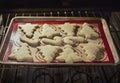 Christmas shaped sugar cookies baking in an oven