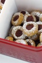 Christmas shortbread thumbprint cookies with strawberry jam powdered with castor sugar in red tin box Royalty Free Stock Photo