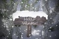 Christmas Sign Snowflakes Fir Tree Text Hello Winter