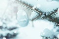 Christmas silver ball on a spruce branch outside in the snow Royalty Free Stock Photo