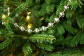 Christmas silver beads hanging in a christmas tree Royalty Free Stock Photo