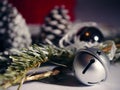 Christmas silver bell and winter pine cones Royalty Free Stock Photo