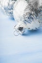 Christmas silver ornaments on light blue wood background Royalty Free Stock Photo