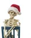 Christmas Skeleton with Santa Hat Sitting Royalty Free Stock Photo