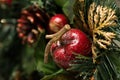 Christmas small red decoration macro