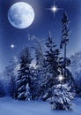 Christmas snow-covered spruce in the forest at night, snowing and the sky the moon Royalty Free Stock Photo
