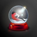 Christmas snow globe with bullfinch isolated on transparent background vector illustration. Winter in glass ball Royalty Free Stock Photo