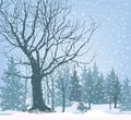 Christmas snow landscape wallpaper. Snowy forest background. Tree without leaves over snow. Winter park or garden. Royalty Free Stock Photo