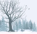 Christmas snow landscape wallpaper. Snowy forest background. Royalty Free Stock Photo