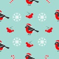 Christmas snowflake, rowan rowanberry sorb, bullfinch bird wearing red santa hat. Royalty Free Stock Photo