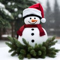 A Christmas Snowman Wearing a Santa Hat and Evergreens in the Background