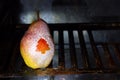 Christmas snowy abstract pear with tree in the oven before baking concept Royalty Free Stock Photo