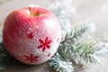 Christmas snowy apple with tree abstract background concept Royalty Free Stock Photo