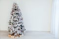 Christmas snowy Christmas tree with presents in a white room in winter Royalty Free Stock Photo