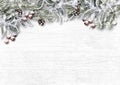 Christmas snowy firtree with holly, cone, frost on wooden white Royalty Free Stock Photo