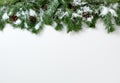 Christmas snowy tree branches and pine cones on white background Royalty Free Stock Photo