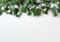 Christmas snowy tree branches and pine cones on white background