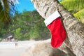 Christmas sock on palm tree at exotic tropical beach Royalty Free Stock Photo
