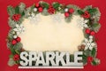 Christmas Sparkle Background Border Royalty Free Stock Photo