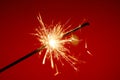 Christmas sparkler Royalty Free Stock Photo