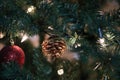 Christmas sphere on christmas pine