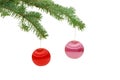 Christmas spheres on a fur-tree Royalty Free Stock Photo