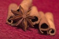 Christmas spice cinnamon and anise