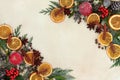 Christmas Spice Fruit and Floral Border Royalty Free Stock Photo