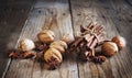 Christmas spices (cinnamon sticks, star anise, and walnuts) Royalty Free Stock Photo