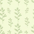 Christmas spruce branch seamless pattern. Hand