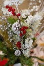 christmas spruce decorative branch in the snow for home Royalty Free Stock Photo