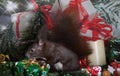 Christmas squirrel