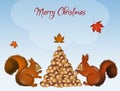 Christmas squirrels make tree with acorns