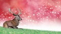 Christmas Stag on a festive red bokeh background