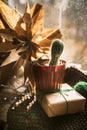 Christmas star carved by hand on a windowsill next to a cactus in a pot. cozy zero waste Christmas. Soft knitted scarves Royalty Free Stock Photo