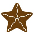 Christmas star gingerbread cookie